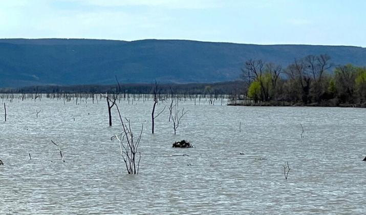 Sardis Lake, at Potato Hills North, on March 16. Mike W. Ray | Southwest Ledger