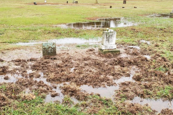Photo courtesy of Scott Alls/USDA                                Wild hogs damaged this cemetery land while foraging for something to eat.