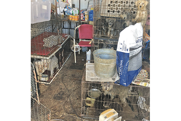 Murder charge filed against Marlow puppy mill operator