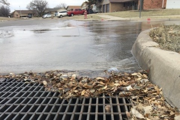 Photo by David Hale - Drain at Hunter Blvd. and Lawton Ave.
