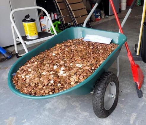 Olivia Oxley The weight of approximately 91,500 pennies – about 500 pounds – caused the wheels of Andreas Flaten’s wheelbarrow to collapse.