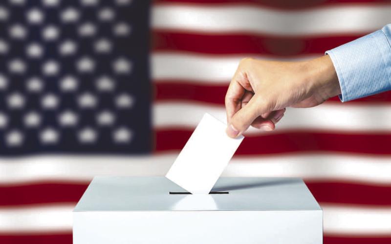 Voters face a large slate of candidates, issues in upcoming state elections