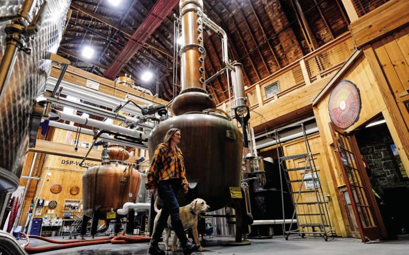 Robert F. Bukaty | Associated Press Meghan Ireland and her dog, Murphy, walk by one of the 750-gallon pot and column whiskey stills at the WhistlePig distillery Monday, April 6, 2026, in Shoreham, Vermont.
