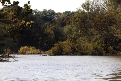 Rip Stell | Southwest Ledger A variety of wildlife, including fish, mussels, bats and birds, as well as ‘old growth’ forests, are at risk of extinction if the Southeast Oklahoma Power Corporation’s hydroelectric project is approved by the federal government.