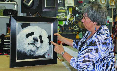 Southwest Ledger photo by Curtis Awbrey Certified Professional Framer Kris Gill explains that by finding the right colored frame to accent the panda’s eyes, she makes the painting even more adorable. Kris and her husband David have owned Gill’s Framing and Photography in Lawton for close to 30 years.