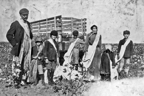 (Photo courtesy of Taylor Strober, curator, Chisholm Trail Museum, Kingfisher) “Herschel Bonham, Route A, Box 118, an 11-year-old boy cultivating peas. He belongs to a cotton club in school. Father says he can pick 200 pounds of cotton a day. Lawton, Oklahoma, April 1917.”