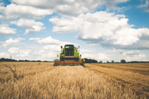 Farm bankruptcies remain elevated across. 