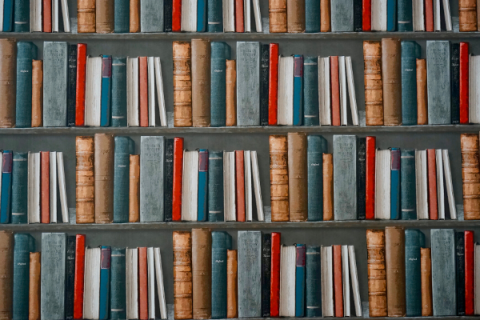 Best-Selling Non-Fiction Books