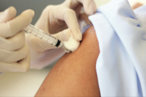 The flu 