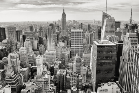 Corporate Dividend Reports 