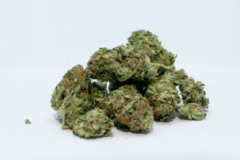 Tribe plans working group to study cannabis business