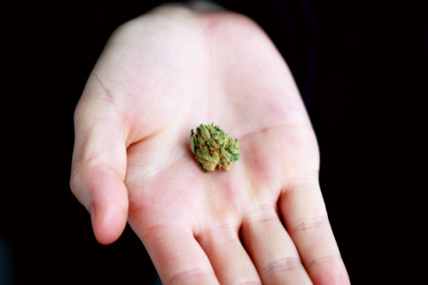 Medical Marijuana