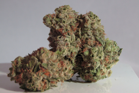 Arkansas’ surgeon general and church groups launched a campaign against recreational marijuana.
