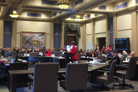 Ledger Ledger photo by M. Scott Carter          State Sen. Mary Boren, standing at lectern, speaks during a meeting of the Senate Education Committee last week.