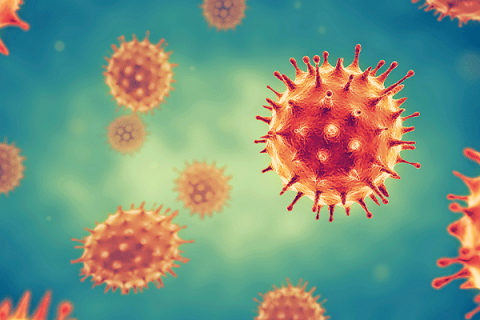 With viruses, what's in a name?