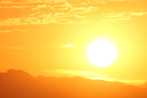 Sunshine Law