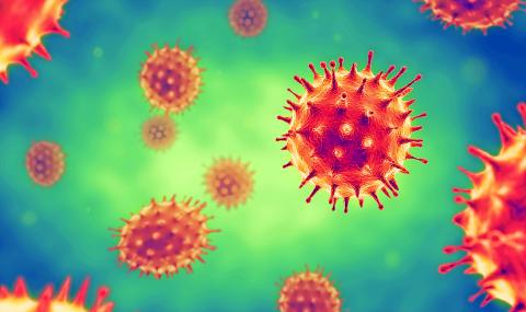 Debunking popular but untrue virus stories, visuals