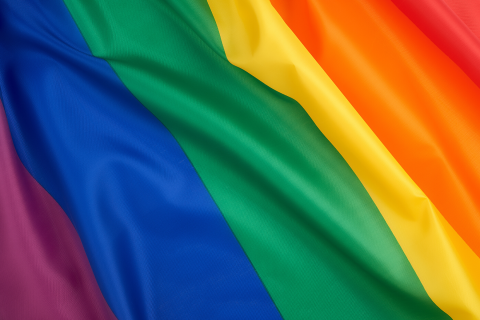LGBTQ Flag 