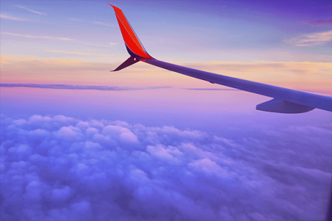 Airlines