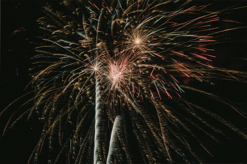Fireworks 