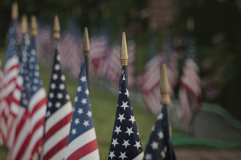 Trump plan to stem vet suicides focuses on public awareness