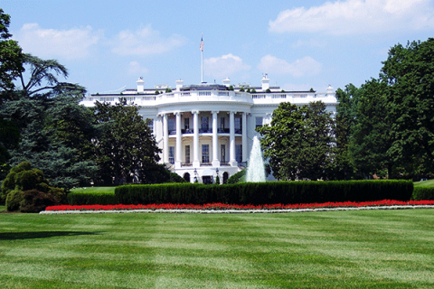 White House 