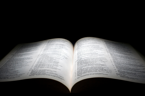 A group of extremists claiming to be “true Christians” are actively working to infiltrate our government
