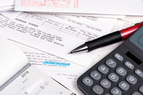 The sale of non-performing loans (NPLs) lowers the number of delinquent loans in the Enterprises’ portfolios and transfers credit risk from the federal government to the private sector. 