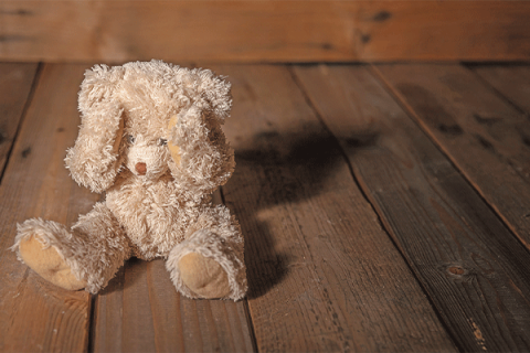 Teddy Bear 