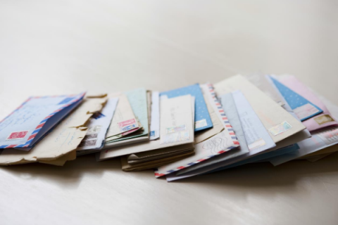 Negative mailer raises questions