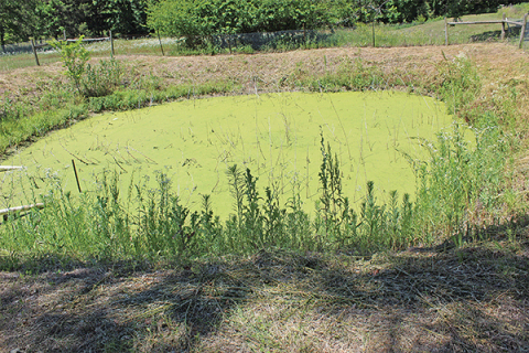 Medicine Park sewer system