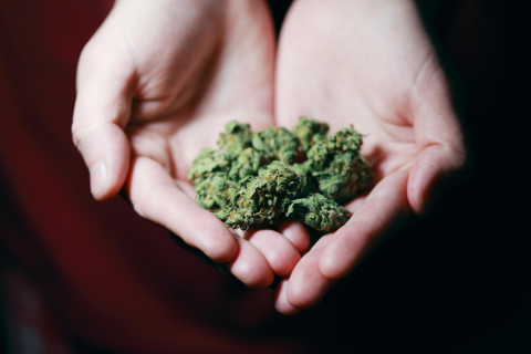 Keely Williams named interim deputy director of the Oklahoma Medical Marijuana Authority