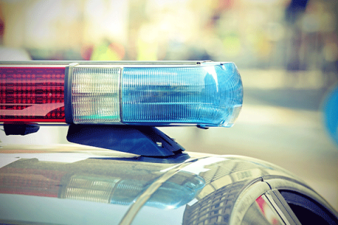 LPD barely touched by budget cuts
