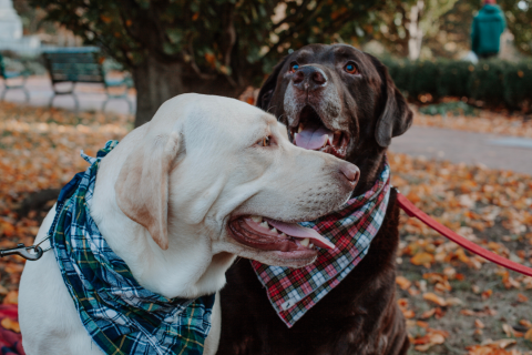 Dog park named after the son of a Duncan councilwoman