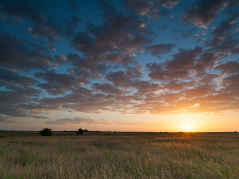 Oklahoma 