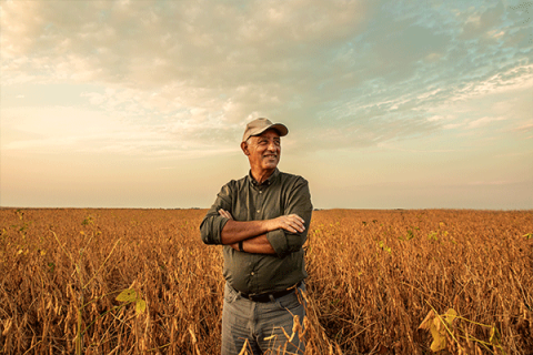 Oklahoma crop report