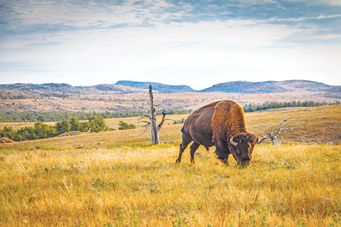 EPA gives eco-jurisdiction to state over Indian Country