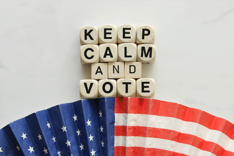 2020 Election