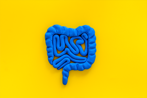 OMRF studies reshape understanding of gut microbiome