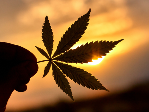 The Oklahoma Medical Marijuana Authority (OMMA) contributed $42 million to the state Department of Education.