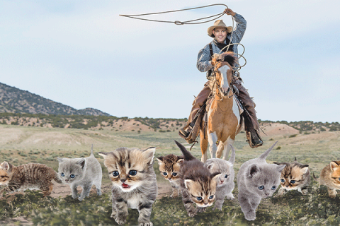 Ledger photo illustration by Bryan M. Richter