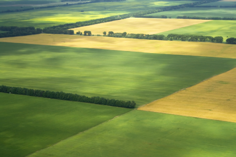 Winter storm helps farmers by lessening drought. 