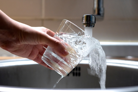 Water 