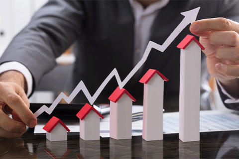 MRED agents set record transaction numbers