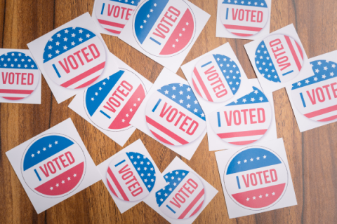 Voter fruad?