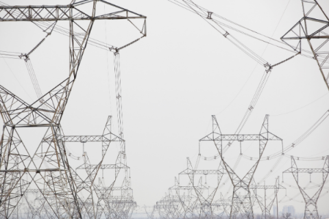 Electric grid