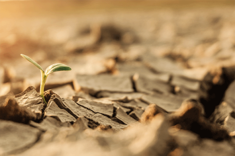 Drought conditions worsen