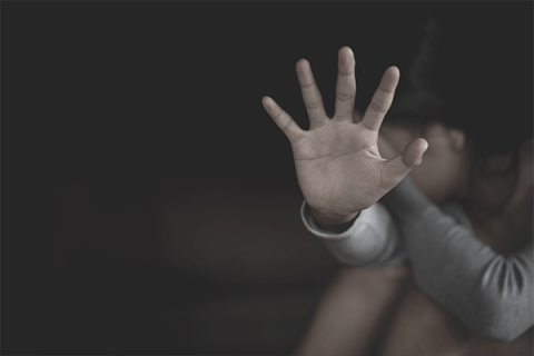 domestic violence victims