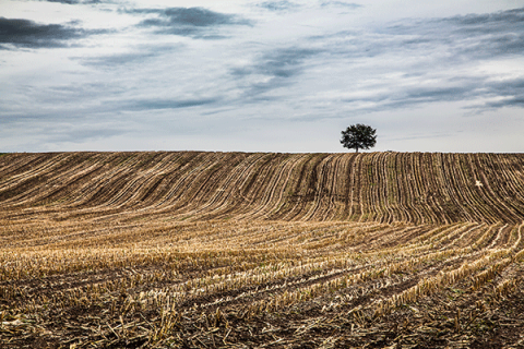 Drought levels stay unchanged