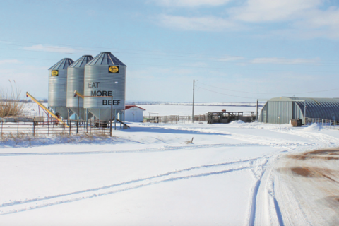 Ledger photo by Cheyenne Belew This Feb. 18 photo shows a Fletcher cattle farm, with the slogan "Eat More Beef" on the grain bins, dressed in white from the February winter storm statewide.